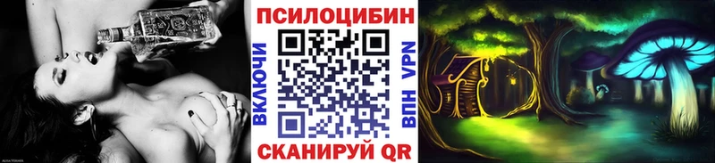 купить наркоту  Кубинка  Галлюциногенные грибы Psilocybe 