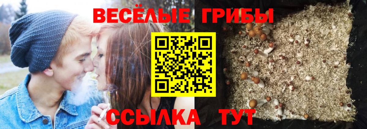 Псилоцибиновые грибы мицелий Кубинка