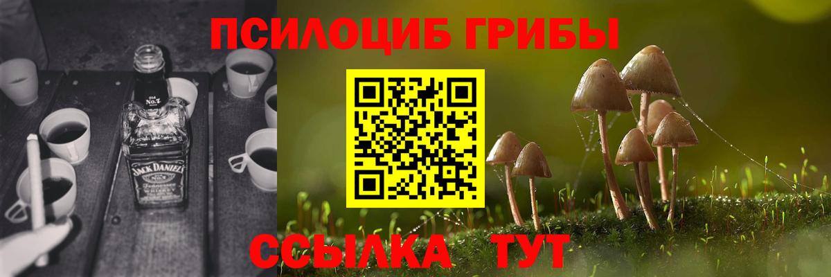 сколько стоит  Вход с VPN  Кубинка  Псилоцибиновые грибы MAGIC MUSHROOMS 